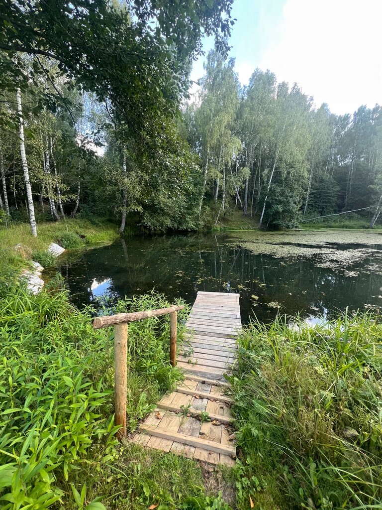 Деревенский пруд и деревянные мостки